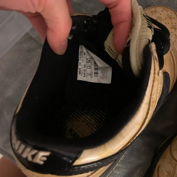 Nike trickstar dunk